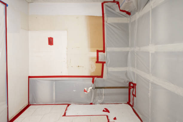Best Emergency Mold Remediation  in Hewlett Harbor, NY